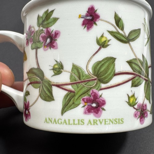 Set/3 vintage Portmeirion 1972 BOTANIC GARDEN Drum Flat Coffee Cup England EUC - Picture 6 of 13