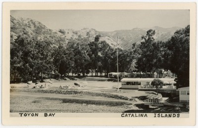 RPPC Toyon Bay Catalina Island CA Boys School Bison c. 1930s-40s Rare Location