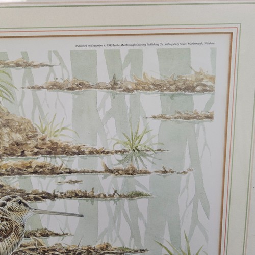 Limited Edition Andrew Stock Print "Woodcock" Signed - Picture 7 of 15