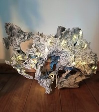 Pièce unique. Racine en bois