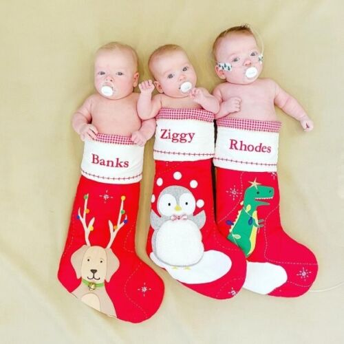 Pottery Barn Holiday Christmas stocking gift Dinosaur Disney school boy kid - Picture 15 of 24