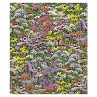 By the Yard Quilting Fabric