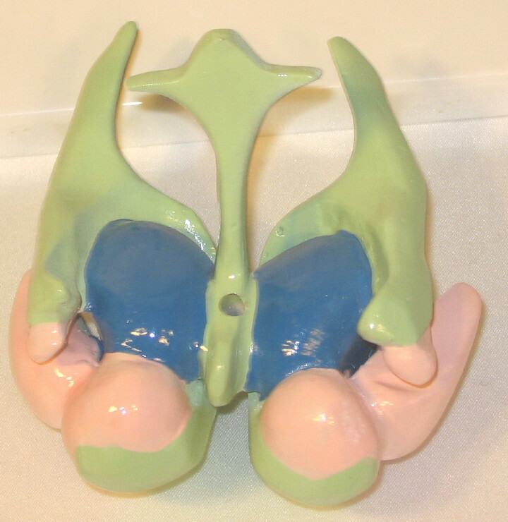 Picture 6 of 6
