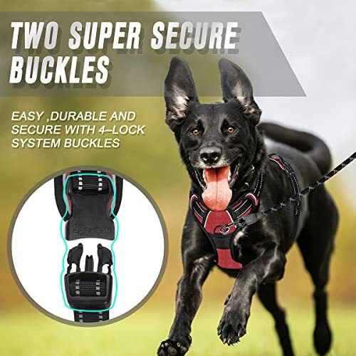 BARKBAY No Pull Dog Harness Front Clip Heavy Duty  Assorted Sizes , Colors  - Picture 76 of 90