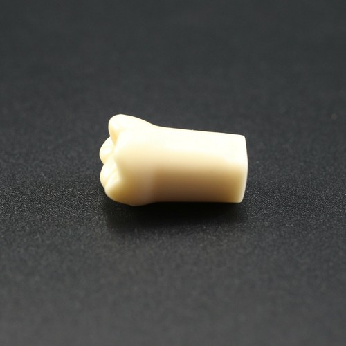 Para Kilgore Nissin 200 Dental Typodont Modelo Dientes Individuales Atornillable 10 un./paquete - Imagen 80 de 93