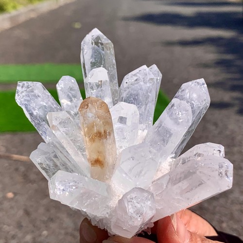 310G New Find white+yellow Phantom Quartz Crystal Cluster Mineral Specimen - Picture 8 of 23