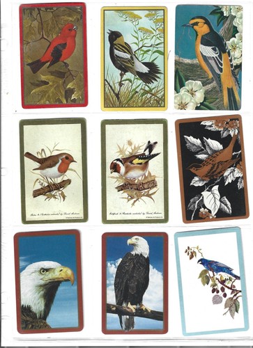 54 cartas de intercambio individuales de cartas para jugar pájaros diferentes - Imagen 9 de 12