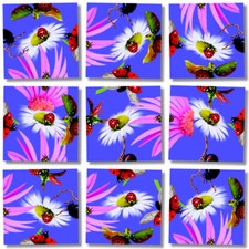Scramble Squares Ladybugs 9 Piece Jigsaw Puzzle