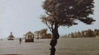 Picture 3 of 5