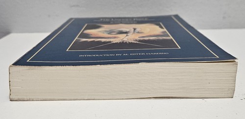 DIE UNHEILIGE BIBEL: BLAKE, JUNG UND DAS KOLLEKTIVE UNBEWUSSTE von June Singer - Bild 6 von 8