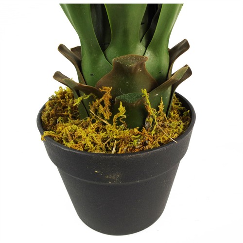 Maceta de plástico artificial Yukka tropical para plantas de casa 55 cm plantas de imitación botánica - Imagen 3 de 7