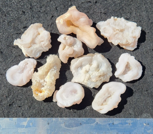 Chalcedony Roses Rock Specimens Arizona See Scale for Size 1.5 Pounds See Video - Picture 2 of 6