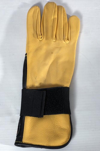 Guantes de montar 71RH Hilason Bull cuero genuino mano derecha - Imagen 2 de 6