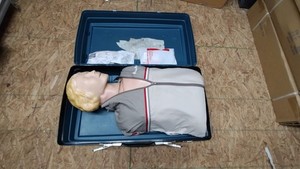 Laerdal  Resuci Anne Adult CPR Trainer Manikin & Plastic Case (AT-1)