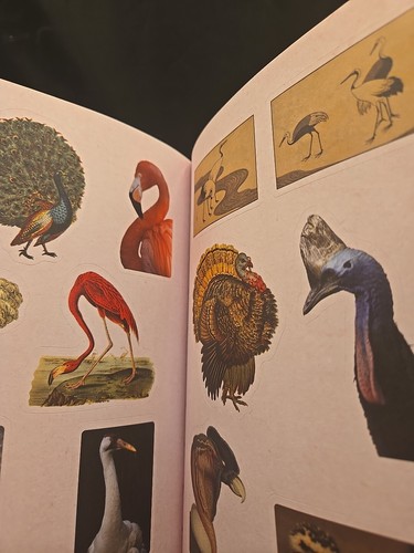 Cabinet of Curiosities : Over 1,000 Curated Stickers from the Fascinating Col... - Imagen 4 de 4