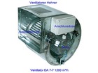 Bild 3 von 19