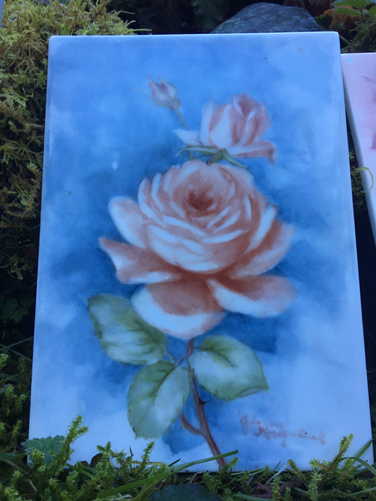 Bild 7 von 24