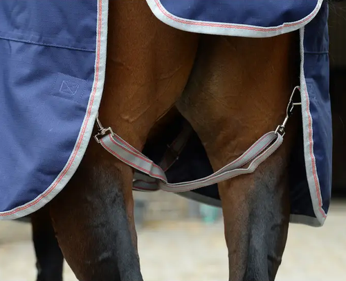 WeatherBeeta ComFiTec Essential Combo Neck Heavy Weight 360g Ripstop Turnout Rug - Picture 8 of 14