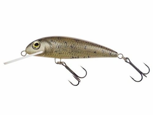 Wob-Art Kiełb Gobio XL FDR 7.5cm 9g Flottant Leurre Sandre Truite COULEURS - Photo 12/17