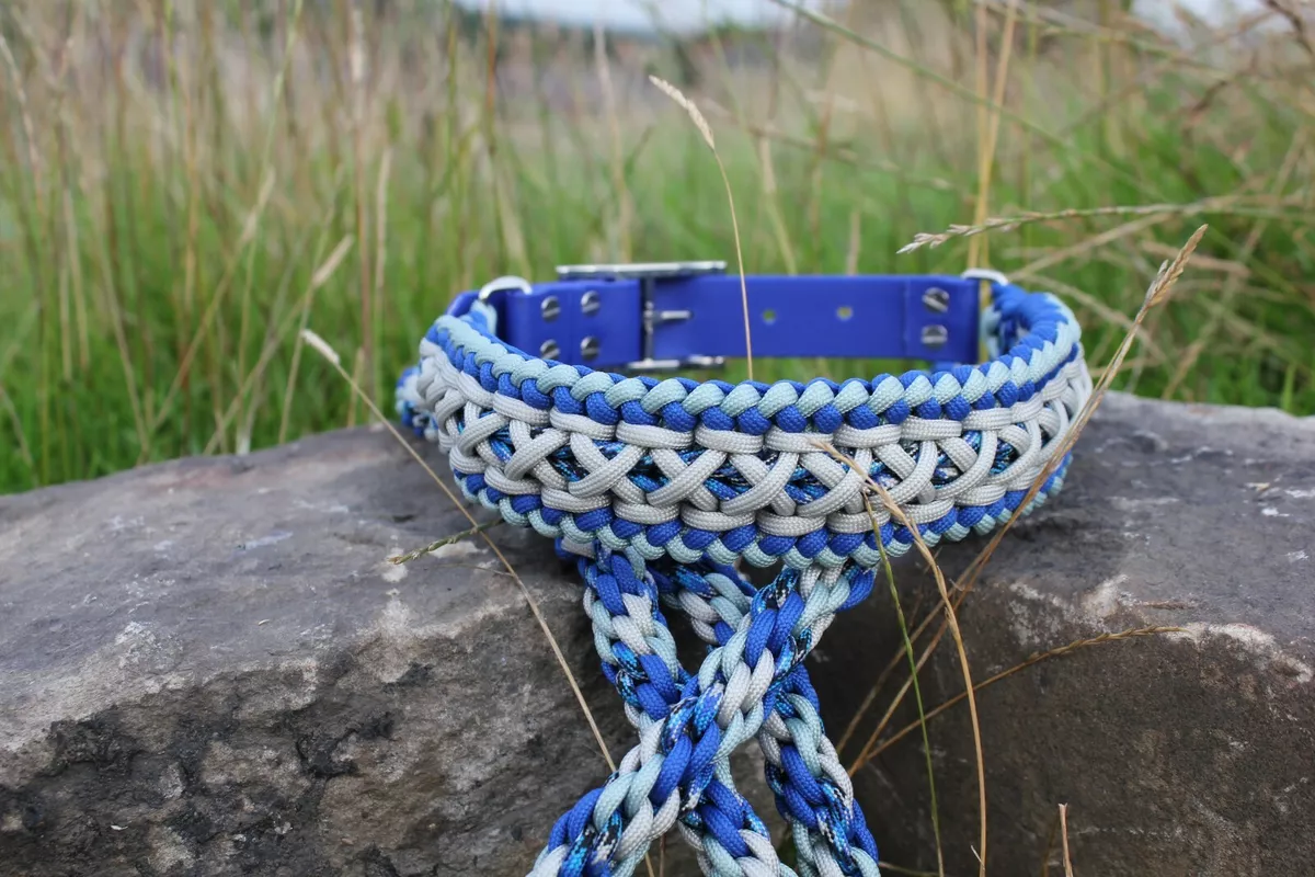 Kong sales paracord collar