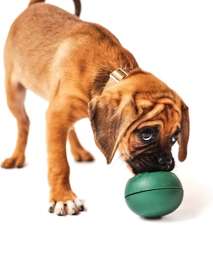Dog Toys, Durable Dog Treats Dispensing Popsicle Ball & Tray for Upto 50 lbs Dog - Picture 6 of 9