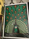 Picture 2 of 2