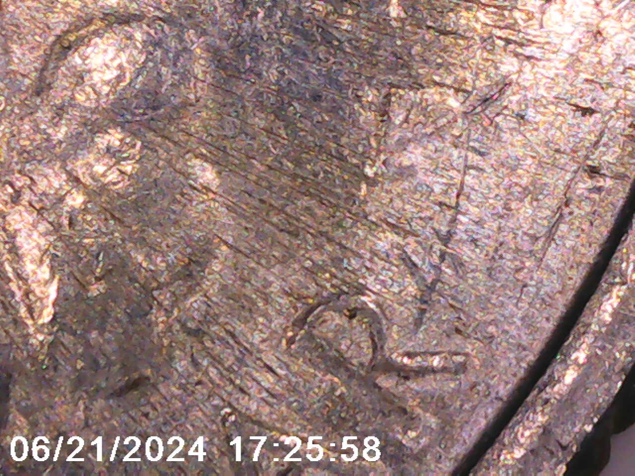 Picture 4 of 24