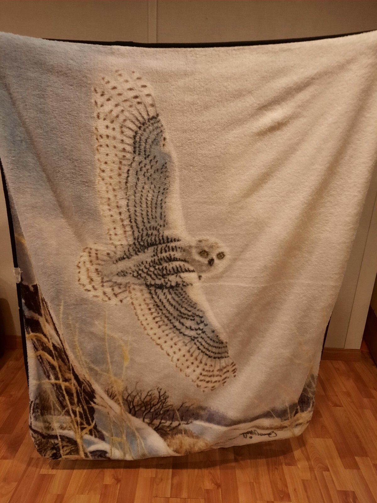 Picture 2 of 3