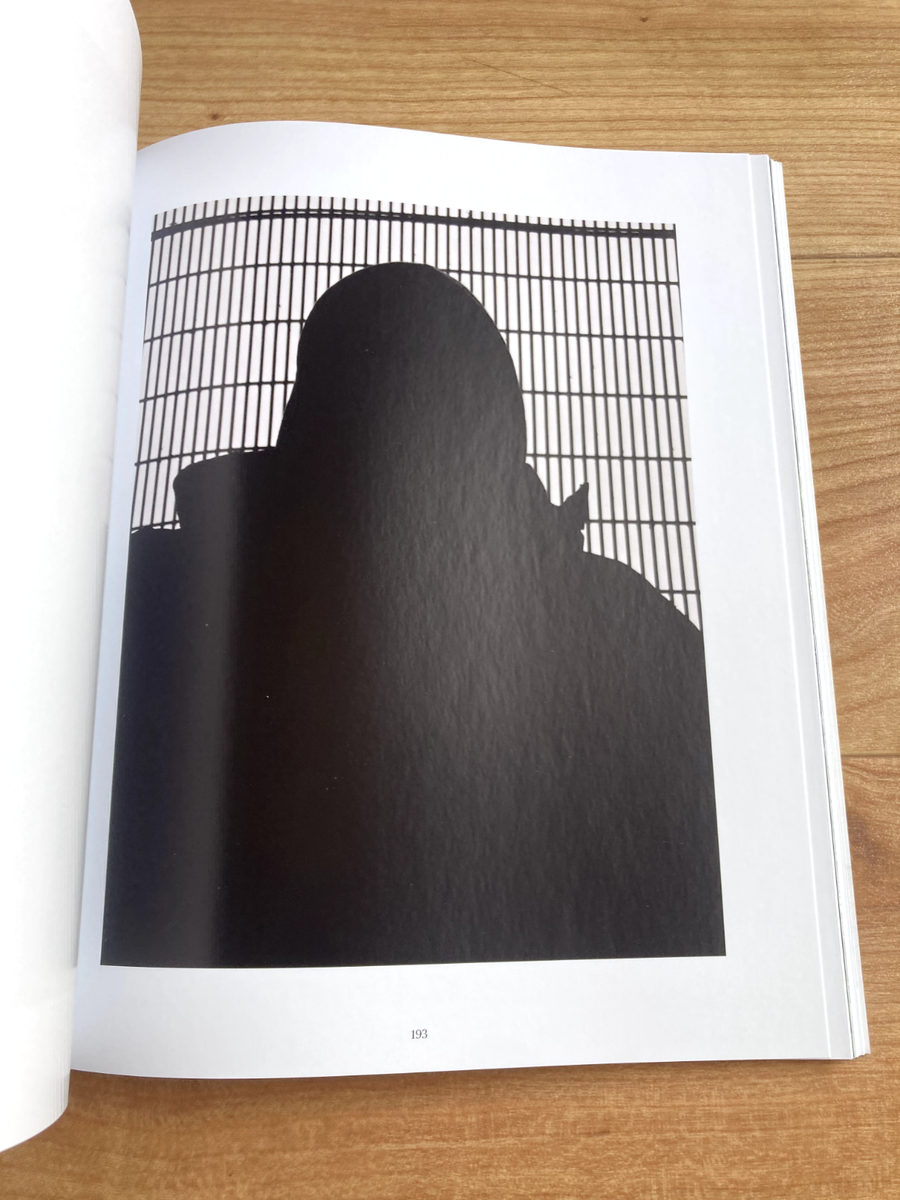 □ BANKSY CAPTURED vol.1/Steve Lazarides BANKSY CAPTURED by STEVE LAZARIDES Vol.1 | eBay