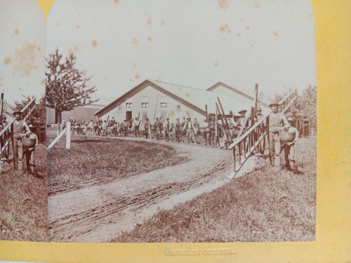 Line of Apple Pickers w/Ladders & Baskets Stereoview by Hinckley, Geneva NY - Picture 6 of 20