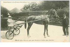 Hippisme.n° 35958.iva C.bai.1913.CHEVAUX.sulky.SUPPLEMENT À La France Equine