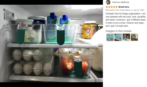 Handled Storage Bins 2-Pack Clear with Aqua Organizer for Fridge Freezer Pantry - Picture 12 of 21