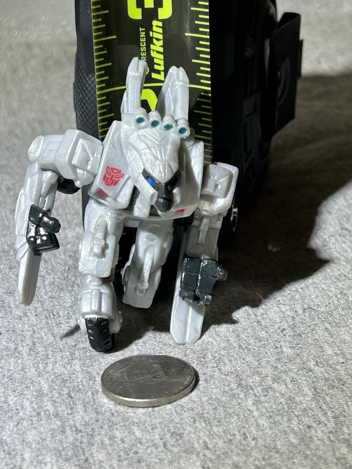 Picture 9 of 9