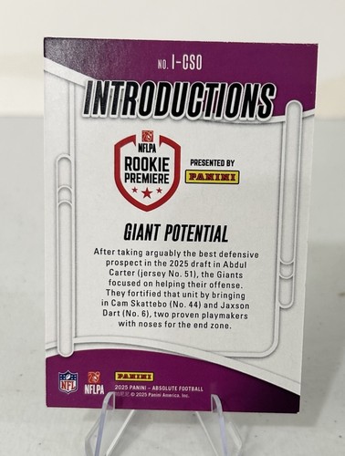 2025 Absolute Introductions #I-CSO Giant Potential JAXSON DART CAM SKATTEBO RC - Bild 2 von 2