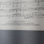 Picture 5 of 7