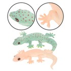 2 Pcs Toy Lizards Mini Reptile Figures Ornament Realistic Animal