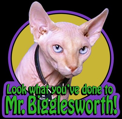 90 S Mike Myers Classic Austin Powers Mr Bigglesworth Custom Tee Anysizeanycolor Ebay