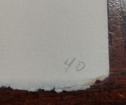 Bild 16 von 16