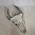Picture 4 of 26