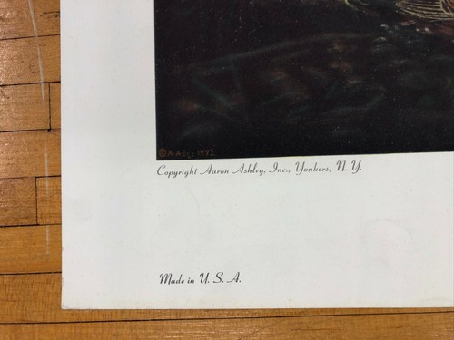 Vintage 28" Robert Havell Jr gefiedertes Auerhuhn Gilcrease Kollographie Vögel Druck - Bild 7 von 12