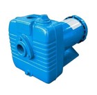 Electric Cast Iron Pump Housing 3 Phases Centrifugal Pumps