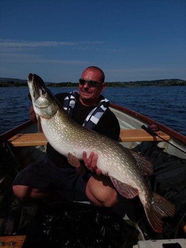 Pike fly / Lure Leader 90lb Fluro 12inch x 1 With Clip mcfluffchucker - Picture 21 of 24