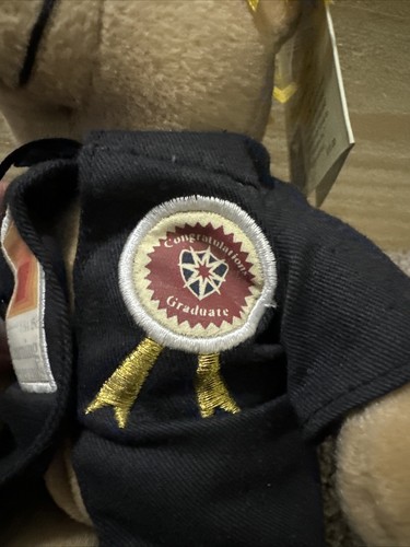 LAUREA orso peluche orsacchiotto berretto e abito con diploma giocattolo Josef Albers timbro USPS - Foto 3 di 8