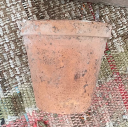 Kleiner antiker englischer viktorianischer Terrakotta Garten Blumentopf Urne aus dem 19. Jahrhundert - Bild 3 von 8