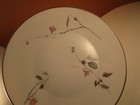 Foto 8 di 10