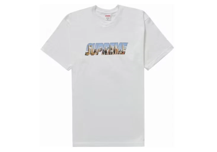 Tee shirt Supreme Gotham blanc en XL
