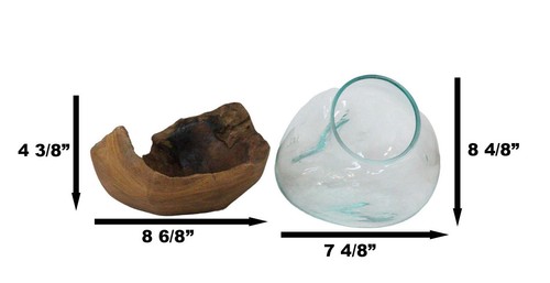 Balinese Handicraft Natural Driftwood With Fitted Hand Blown Glass Bowl 8.5"H - Bild 5 von 10