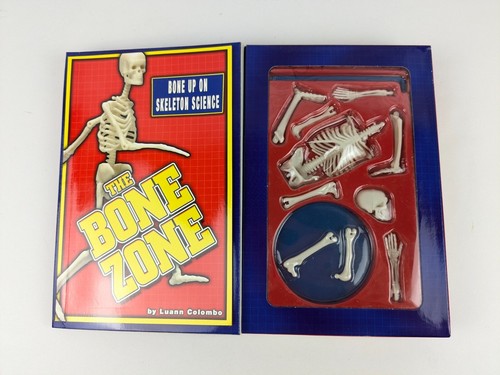Build A Skeleton Scholastic Book and Easy to Assemble Model Kit - Bild 2 von 4