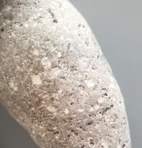 13,95 gramos PIEDRA CALIZA FOSILÍFERA GRIS (fl1) - Imagen 4 de 6