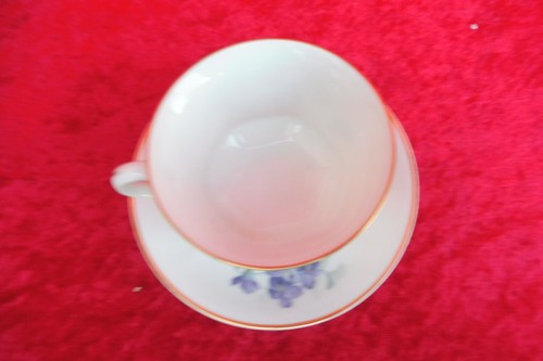 schöne , alte Tasse mit Untertasse , Sammeltasse , Hutschenreuther Hohenberg - Bild 2 von 4